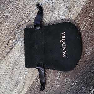 ❄️FWP PANDORA jewelry bag